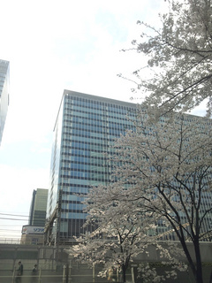 130329.jpg